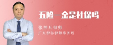 五险一金是社保吗