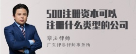 500注册资本可以注册什么类型的公司