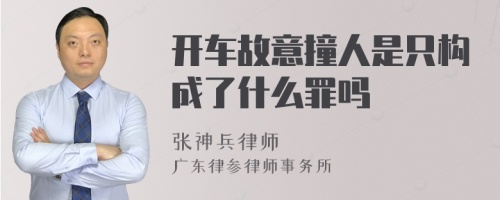 开车故意撞人是只构成了什么罪吗