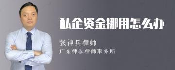 私企资金挪用怎么办