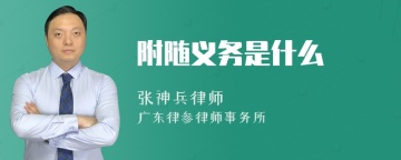 附随义务是什么