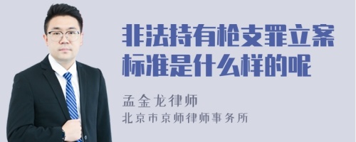 非法持有枪支罪立案标准是什么样的呢