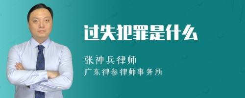 过失犯罪是什么