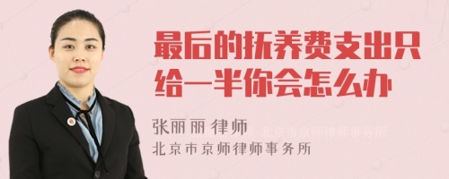 最后的抚养费支出只给一半你会怎么办