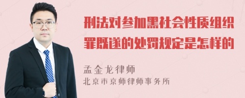 刑法对参加黑社会性质组织罪既遂的处罚规定是怎样的