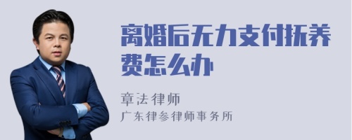 离婚后无力支付抚养费怎么办