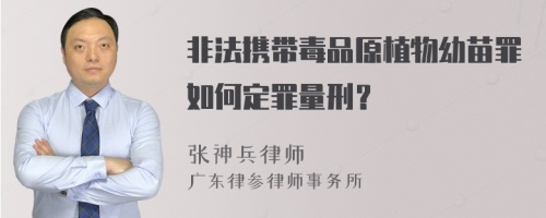 非法携带毒品原植物幼苗罪如何定罪量刑？