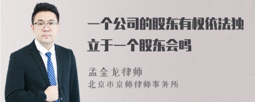 一个公司的股东有权依法独立于一个股东会吗