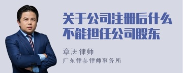 关于公司注册后什么不能担任公司股东