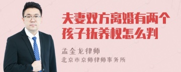 夫妻双方离婚有两个孩子抚养权怎么判