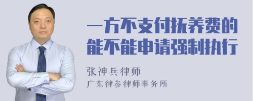 一方不支付抚养费的能不能申请强制执行