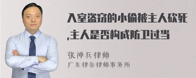 入室盗窃的小偷被主人砍死,主人是否构成防卫过当