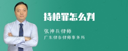 持枪罪怎么判