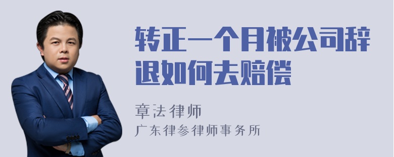 转正一个月被公司辞退如何去赔偿