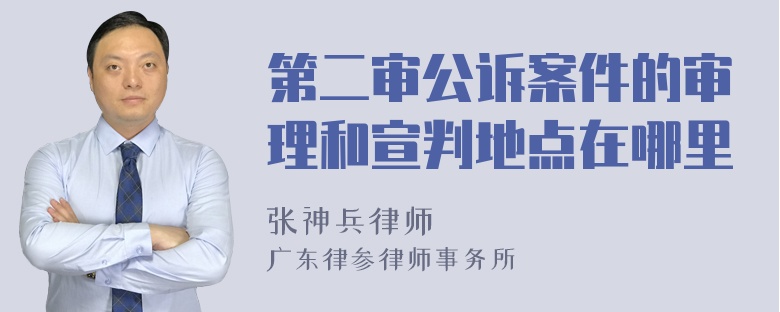 第二审公诉案件的审理和宣判地点在哪里