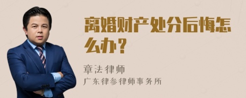 离婚财产处分后悔怎么办？