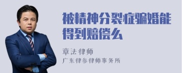 被精神分裂症骗婚能得到赔偿么