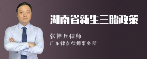 湖南省新生三胎政策