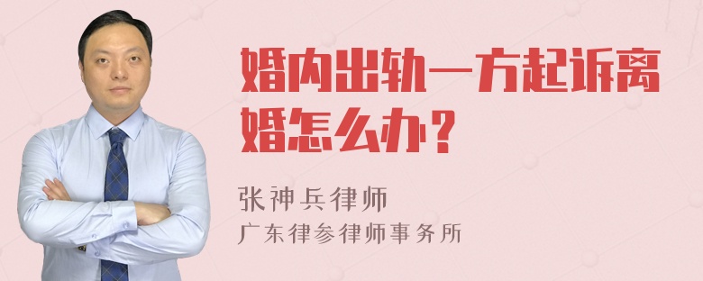 婚内出轨一方起诉离婚怎么办？