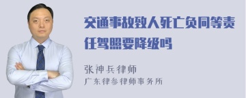 交通事故致人死亡负同等责任驾照要降级吗