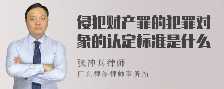 侵犯财产罪的犯罪对象的认定标准是什么