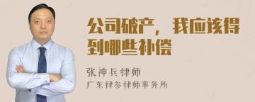 公司破产，我应该得到哪些补偿