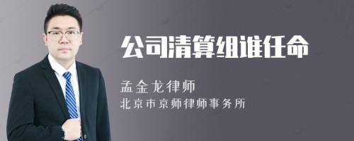 公司清算组谁任命