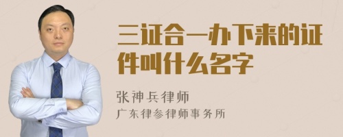 三证合一办下来的证件叫什么名字