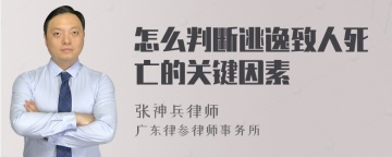 怎么判断逃逸致人死亡的关键因素