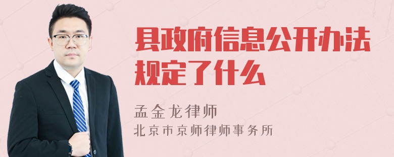 县政府信息公开办法规定了什么