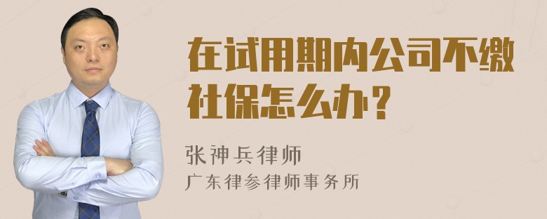 在试用期内公司不缴社保怎么办？