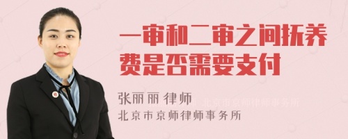 一审和二审之间抚养费是否需要支付