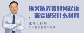 拖欠抚养费如何起诉，需要提交什么材料