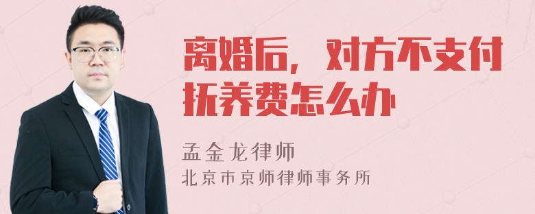 离婚后，对方不支付抚养费怎么办