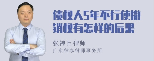 债权人5年不行使撤销权有怎样的后果