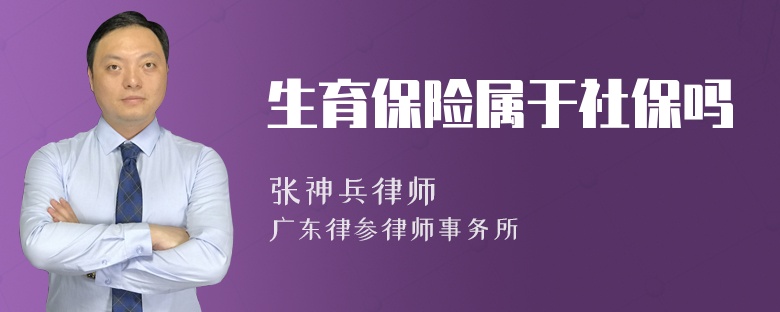 生育保险属于社保吗