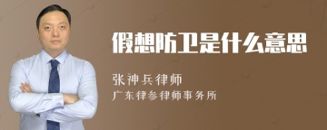 假想防卫是什么意思