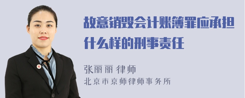 故意销毁会计账簿罪应承担什么样的刑事责任