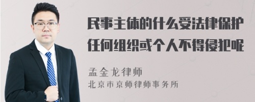 民事主体的什么受法律保护任何组织或个人不得侵犯呢