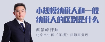 小规模纳税人和一般纳税人的区别是什么