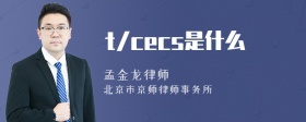 t/cecs是什么