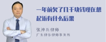 一年前欠了几千块钱现在想起诉有什么后果