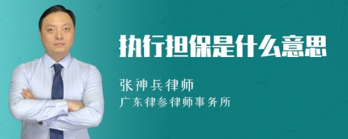 执行担保是什么意思