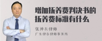 增加抚养费判决书的抚养费标准有什么