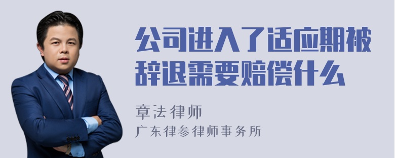 公司进入了适应期被辞退需要赔偿什么