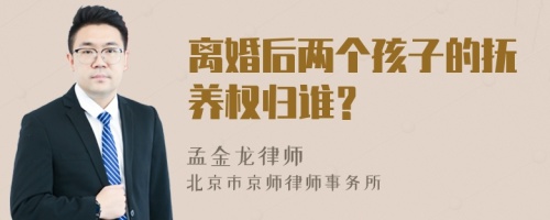 离婚后两个孩子的抚养权归谁？