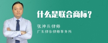 什么是联合商标？