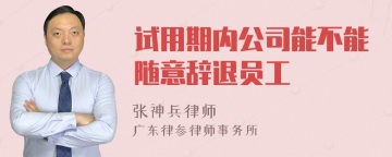 试用期内公司能不能随意辞退员工