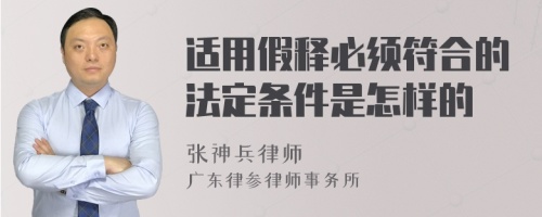 适用假释必须符合的法定条件是怎样的