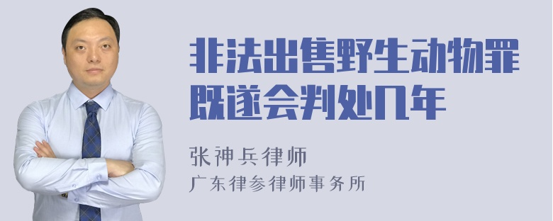 非法出售野生动物罪既遂会判处几年